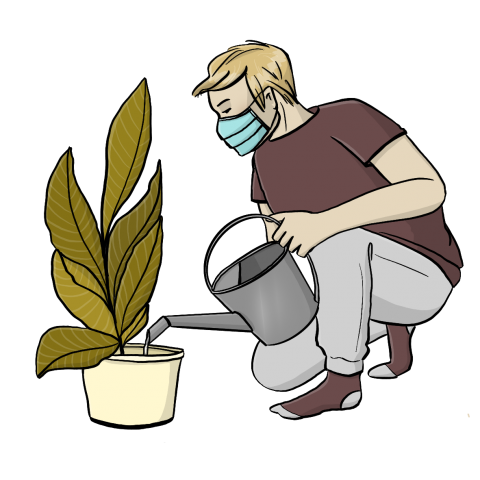 Ein Mann mit Mundschutz gießt eine Pflanze.
