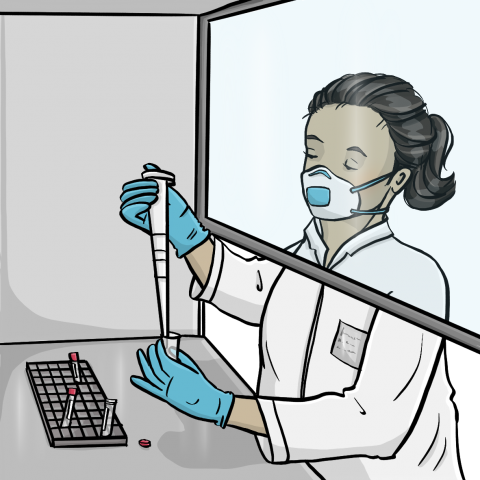 Eine Frau im Kittel mit einem Mundschutz und medizinischen Handschuhen, untersucht eine Probe im Labor.