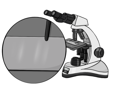 Zeichnung von einem Mikroskop. Auf dem Glas unter dem Mikroskop ist auch vergrößert nichts zu sehen.