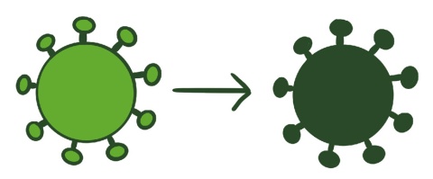 Zwei gezeichnete Corona-Viren in der typischen Form mit kleinen Ärmchen. Eines der beiden Viren ist hellgrün, das andere dunkelgrün.